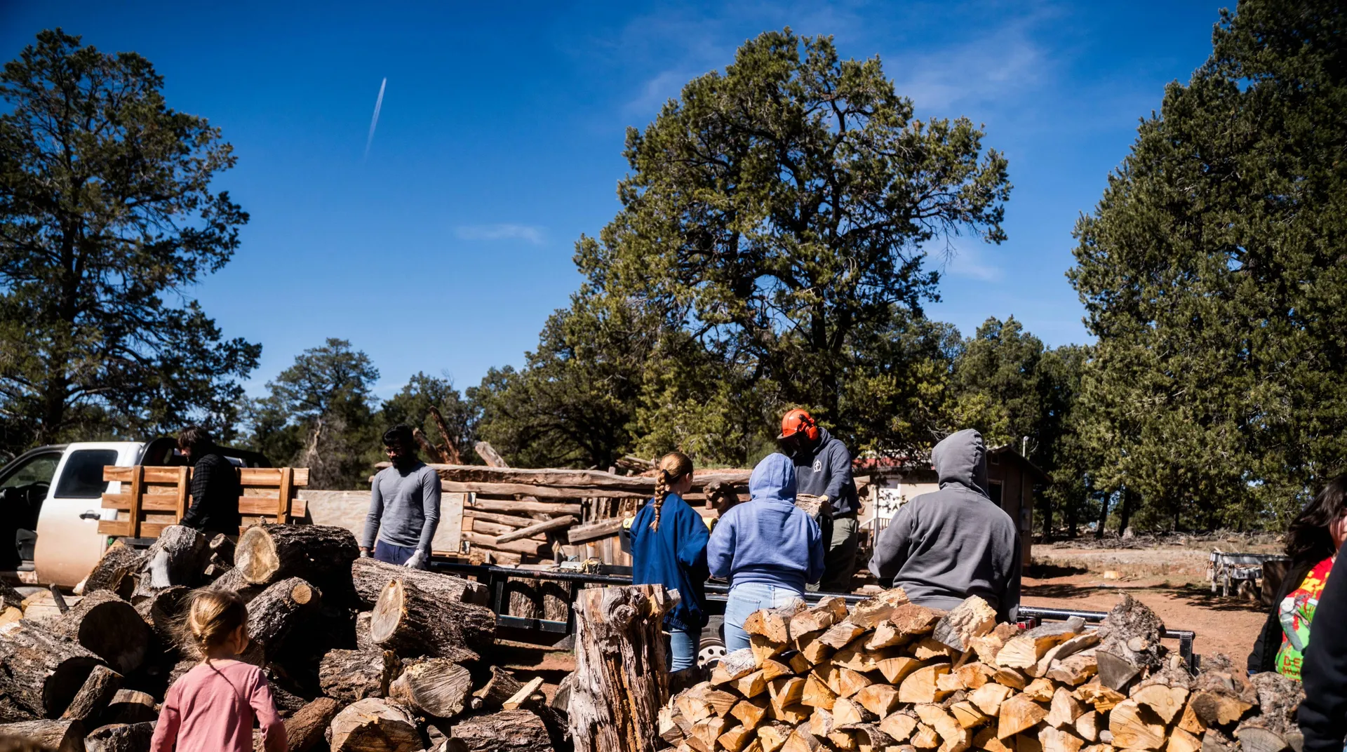Students delivering wood